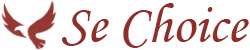 SEChoice.com
